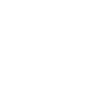 BEAR – Business Equity Appraisal Reports, Inc.